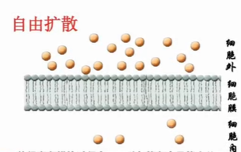 氟碳粉末涂料冒烟